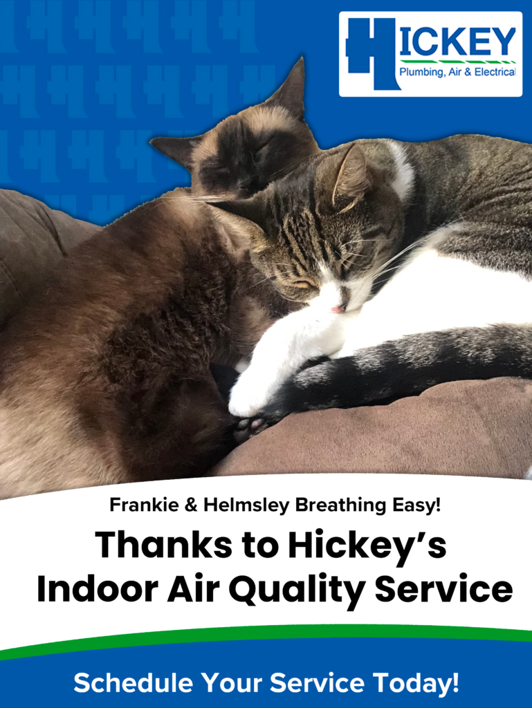 A graphic with two cats sleeping with text that reads, "Frankie and Helmsley Breathing Easy! Thanks to Hickey's Indoor Air Quality Service. Schedule Your Service Today!